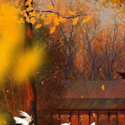 北京155个宗教活动场所暂停对外开放、暂停集体宗教活动